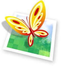 City of Hayward Career Opportunitieslogo image